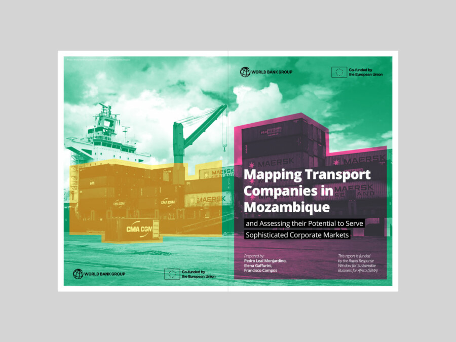 Mapping Transport Companies in Mozambique