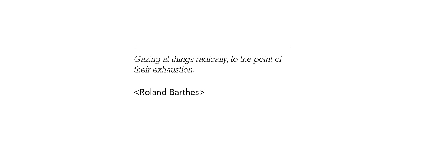 Roland Barthes quote